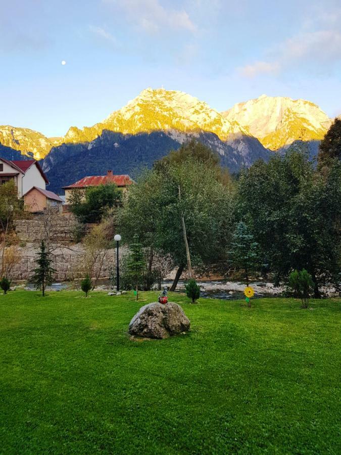 Apartament Golden Rose 1 Buşteni Esterno foto